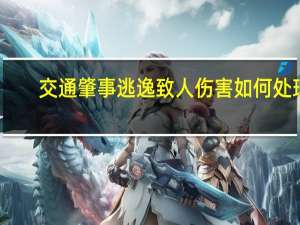 交通肇事逃逸致人伤害如何处理