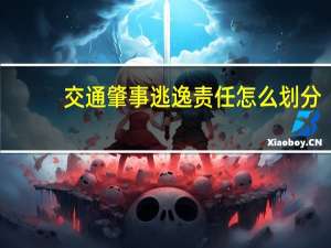 交通肇事逃逸责任怎么划分
