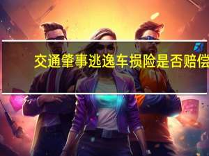 交通肇事逃逸车损险是否赔偿