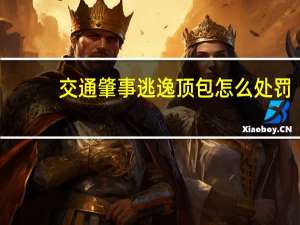 交通肇事逃逸顶包怎么处罚