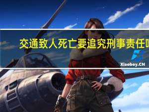 交通致人死亡要追究刑事责任吗