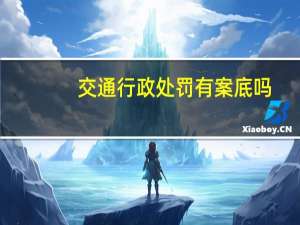 交通行政处罚有案底吗
