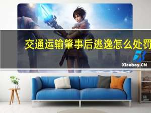 交通运输肇事后逃逸怎么处罚