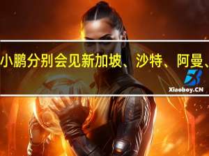 交通运输部部长李小鹏分别会见新加坡、沙特、阿曼、塔吉克斯坦、越南客人
