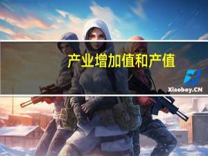 产业增加值和产值（增加值和产值）