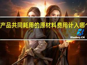 产品共同耗用的原材料费用计入哪个科目