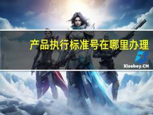 产品执行标准号在哪里办理