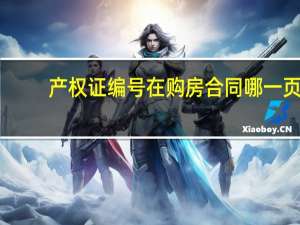 产权证编号在购房合同哪一页（产权证编号）