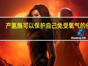 产氢酶可以保护自己免受氧气的侵害