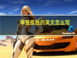 享受孤独的英文怎么写