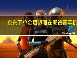 京东下单金额超限在哪设置手机上（京东下单金额）
