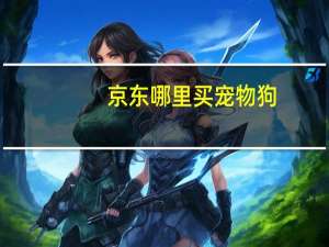 京东哪里买宠物狗