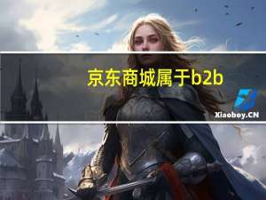 京东商城属于b2b
