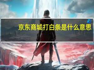 京东商城打白条是什么意思
