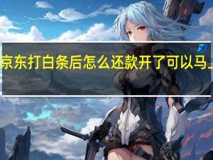 京东打白条后怎么还款 开了可以马上关吗