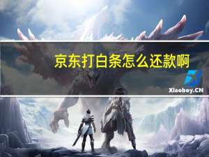 京东打白条怎么还款啊（京东打白条怎么还款）