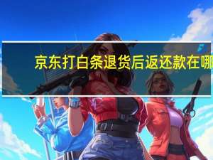 京东打白条退货后返还款在哪