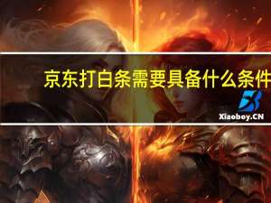 京东打白条需要具备什么条件