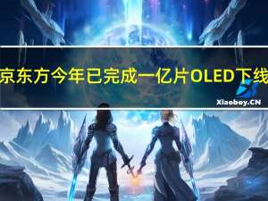 京东方今年已完成一亿片OLED下线