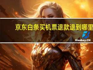 京东白条买机票退款退到哪里