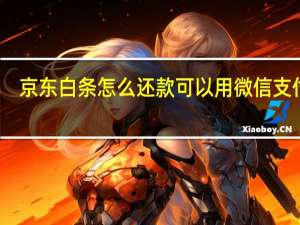 京东白条怎么还款可以用微信支付吗（京东白条怎么还款）