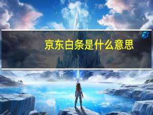 京东白条是什么意思