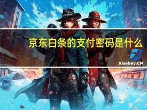 京东白条的支付密码是什么