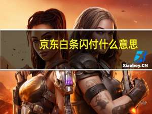 京东白条闪付什么意思