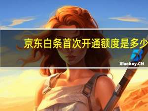 京东白条首次开通额度是多少