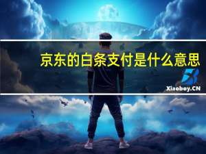 京东的白条支付是什么意思