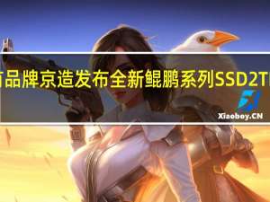 京东自有品牌京造发布全新鲲鹏系列SSD 2TB首发价579元