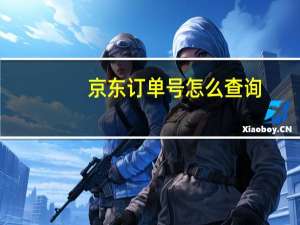 京东订单号怎么查询