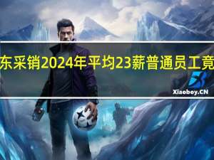 京东采销2024年平均23薪 普通员工竟也能拿5-8个月奖金