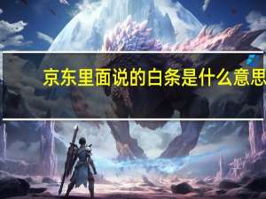 京东里面说的白条是什么意思（京东里面的白条是什么意思?可以介绍一下吗）