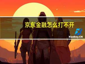 京东金融怎么打不开