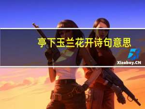 亭下玉兰花开诗句意思