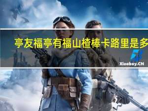 亭友福 亭有福 山楂棒卡路里是多少