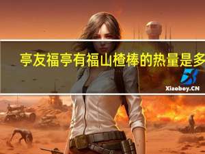 亭友福 亭有福 山楂棒的热量是多少