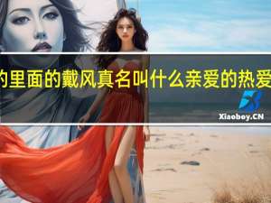 亲爱的热爱的里面的戴风真名叫什么 亲爱的 热爱的中戴风是谁演的