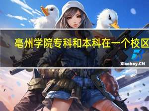 亳州学院专科和本科在一个校区吗
