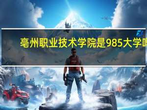 亳州职业技术学院是985大学吗