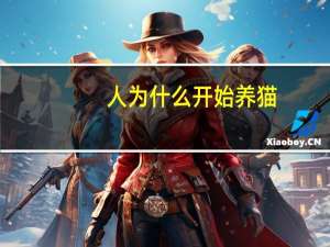 人为什么开始养猫