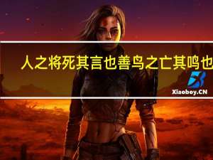 人之将死其言也善鸟之亡其鸣也哀