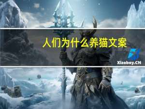 人们为什么养猫文案