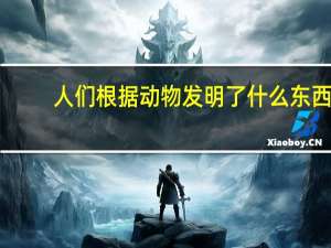 人们根据动物发明了什么东西