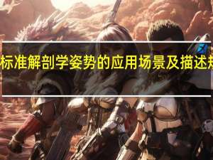 人体标准解剖学姿势的应用场景及描述规定是什么