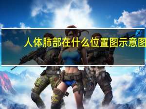 人体肺部在什么位置图 示意图（人体肺部在什么位置）