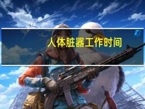 人体脏器工作时间