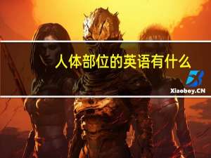 人体部位的英语有什么