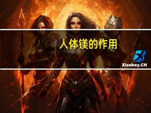 人体镁的作用（镁的作用）